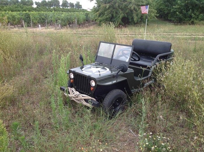 La Jeepy - Mini Jeep