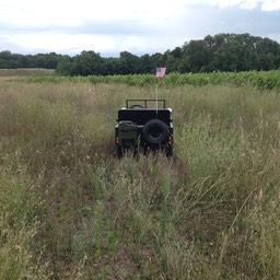 La Jeepy - Mini Jeep