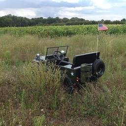 La Jeepy - Mini Jeep