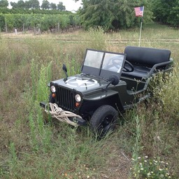 La Jeepy - Mini Jeep